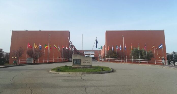 Unical-università-rettori-candidati-elezioni-regionali-calabria