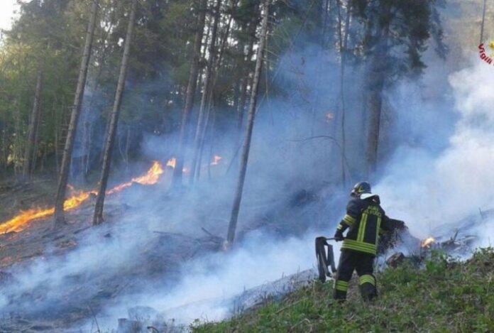 vdf incendio-bosco-