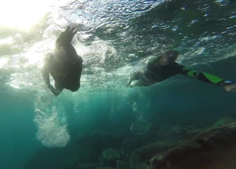 nuoto in mare