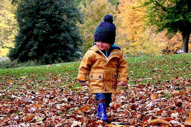 Il quadro d’autunno