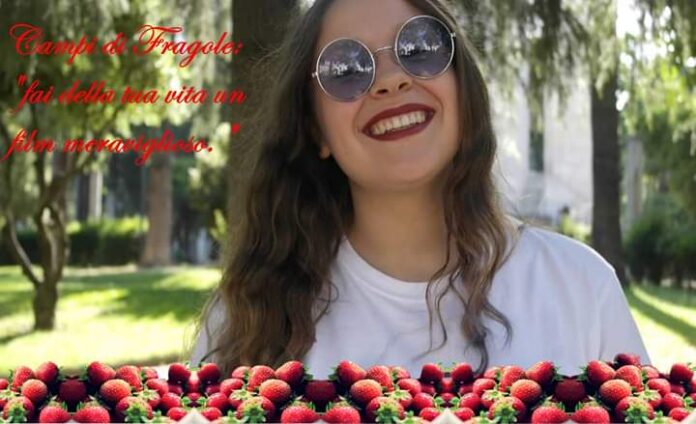 Barbara Nina Szostek