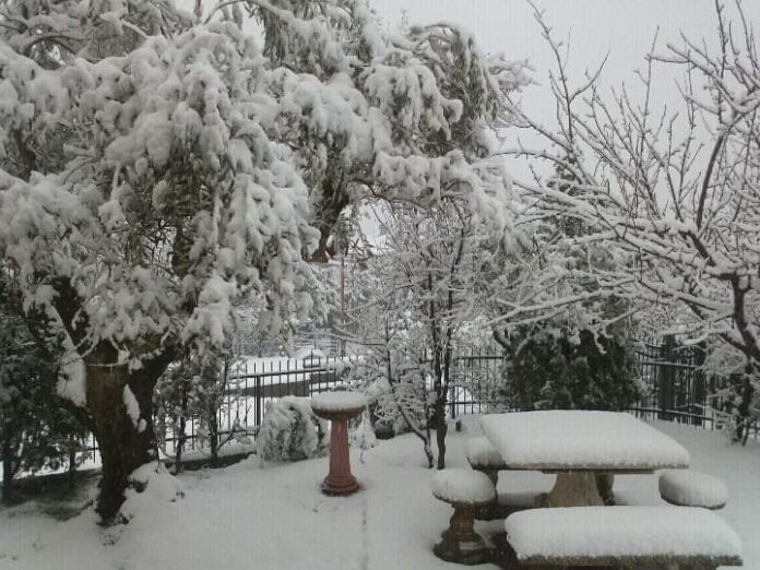 nevicata