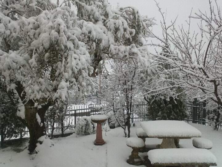 nevicata