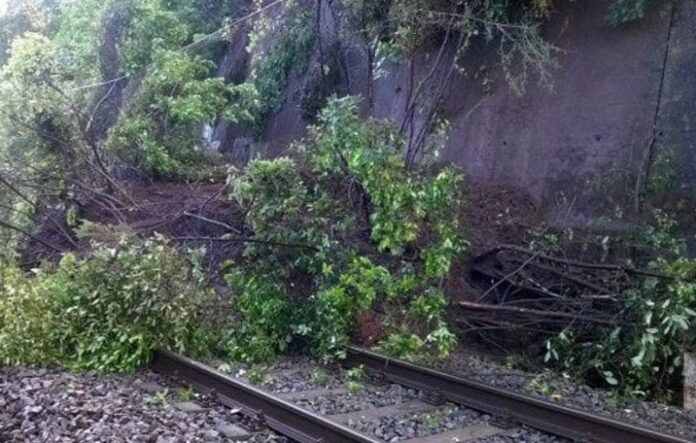 albero binari ferrivia