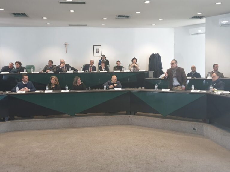 Rende, perchè Elia ha votato con Manna?