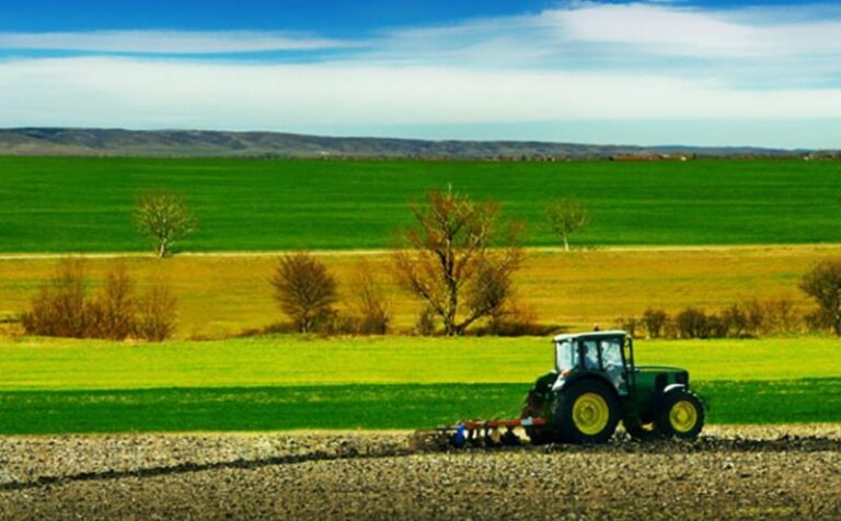 fondi agricoltura calabria
