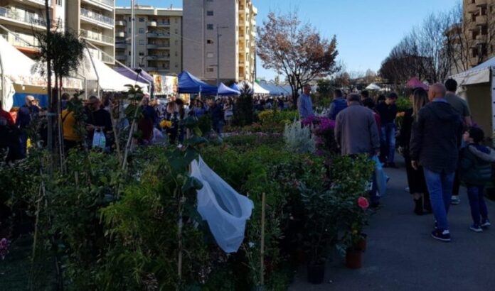 posteggi-fiera-san giusepp-cosenza