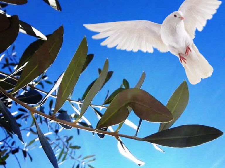 domenica delle palme