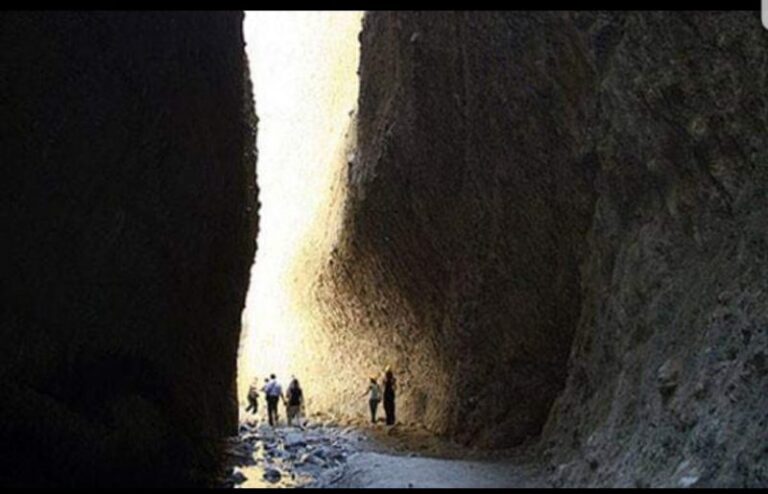 Conclusa la concertazione tra i Dipartimenti Agricoltura e Ambiente