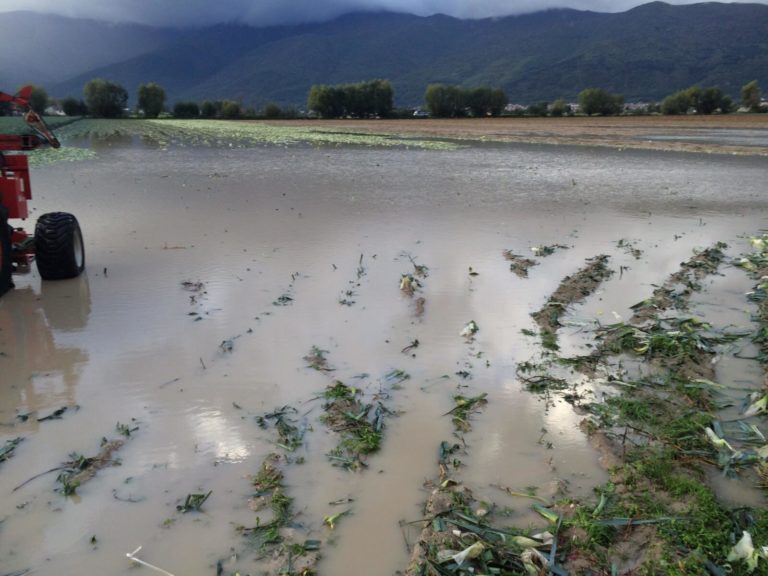 agricoltura in ginocchio