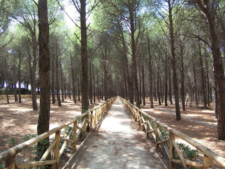 A Catanzaro Lido si parlerà di “mare, turismo, ambiente”