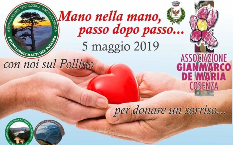 fungiaroli matti del pollino associazione gianmarco de maria