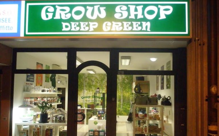 Salvini e Ferro per chiusura dei "grow shop"