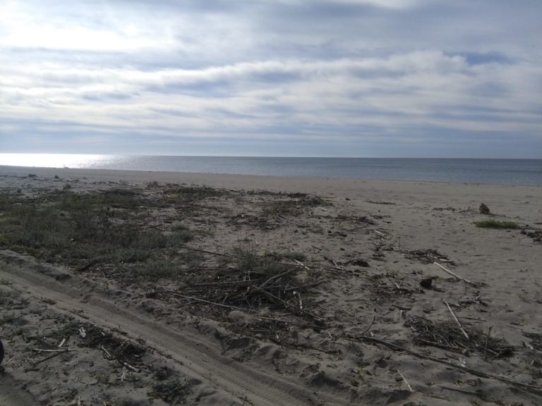 spiaggia bellino ricoperta da detriti