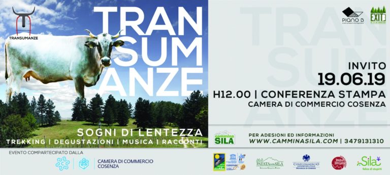 Transumanza: domenica tutti in Sila per un evento imperdibile