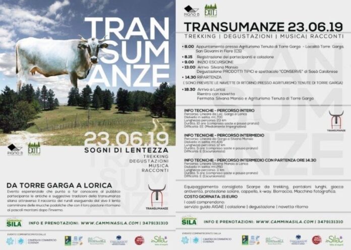 Transumanze