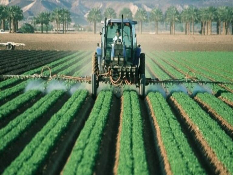 fondi imprenditori agricoli