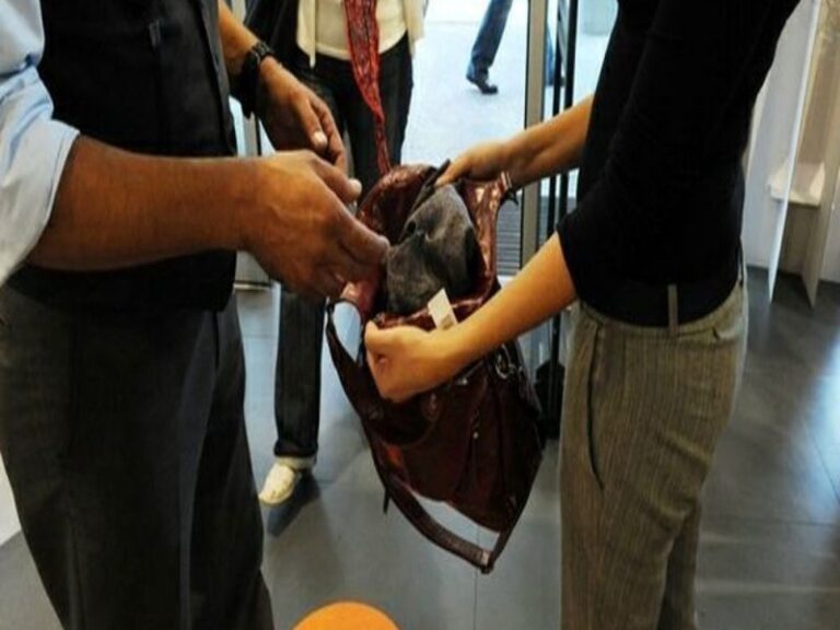 Avevano voglia di fare shopping senza spendere nulla, arrestate due donne