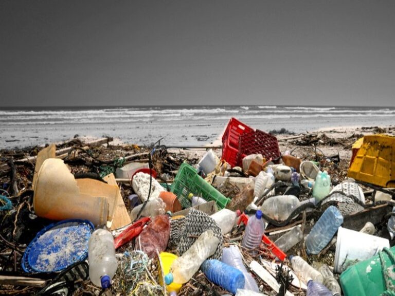 Anche in Calabria la plastica invade i nostri mari e le nostre spiagge