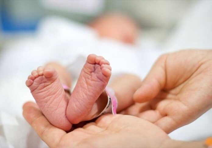 doppio cognome neonato