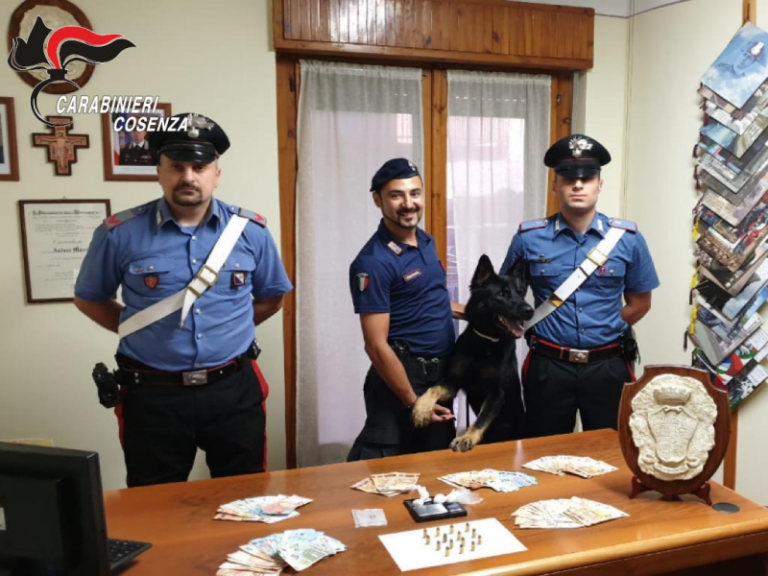 Il fiuto del cane Enno dei carabinieri fa arrestare 2 uomini