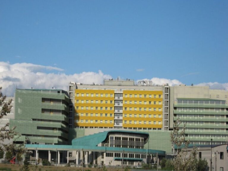 ricerca università cz
