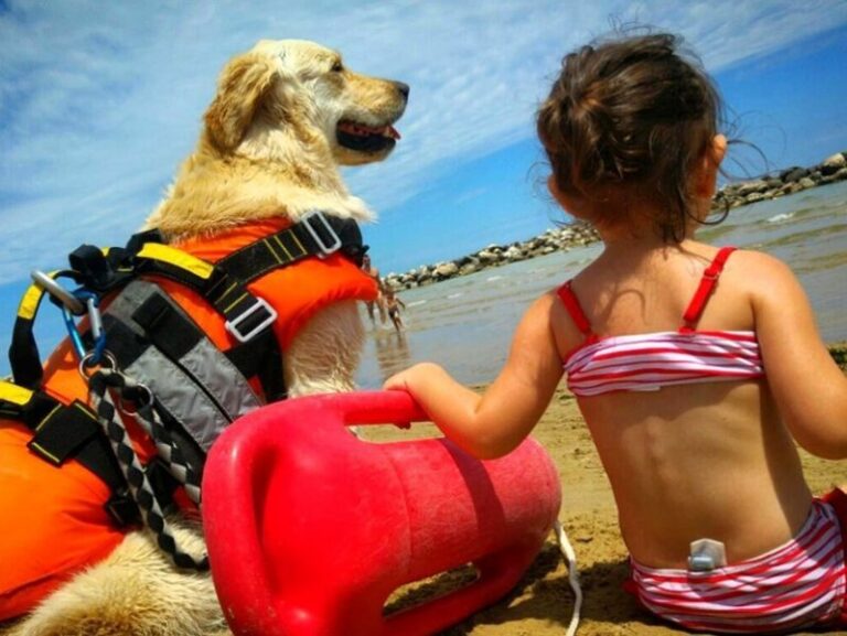 Incubo a lieto fine a Soverato: bimba ritrovata dai cani bagnino
