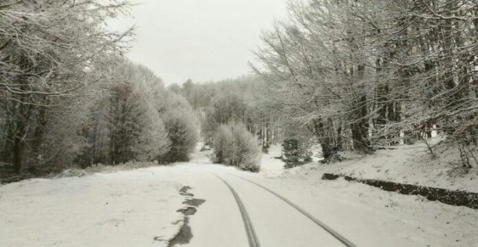 neve sila novembre 2022