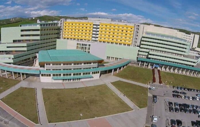 umg università magna grecia catanzaro