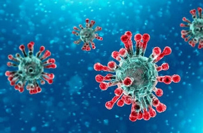 primi-casi-accertati-coronavirus-italia