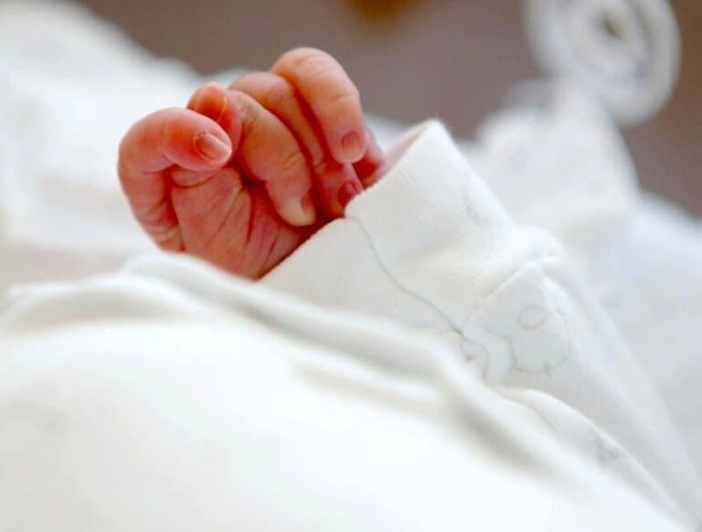 manina neonato