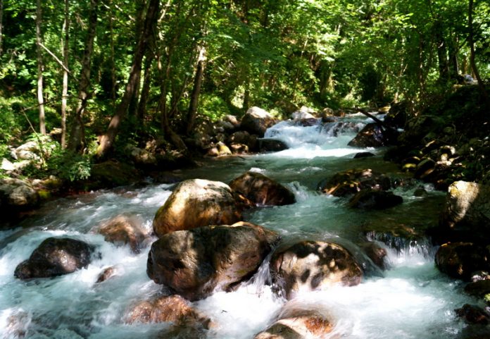 orsomarso-parco-natura-valle dell'argentino-finanziamento-governo