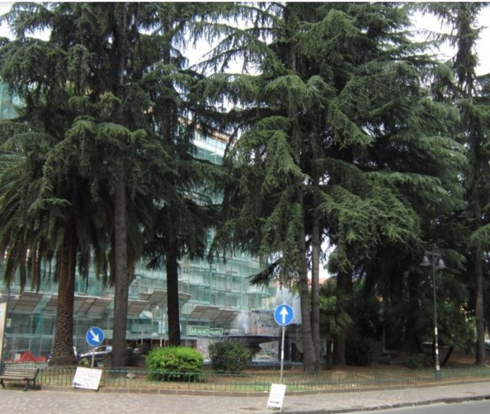 piazza-europa-albanese-gambizzato-cosenza-polizia