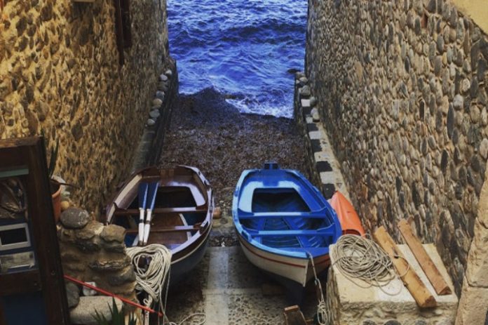 cena santelli salvini