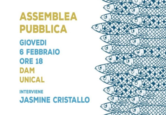 unical-assemblea-6000-sardine-calabria