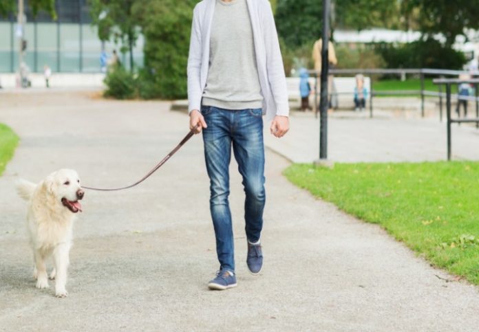 medico-catanzaro-assenze-ingiustificate retribuite