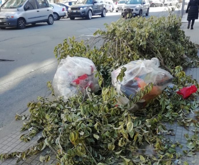 spazzatura e fogliame in via caloprese cosenza