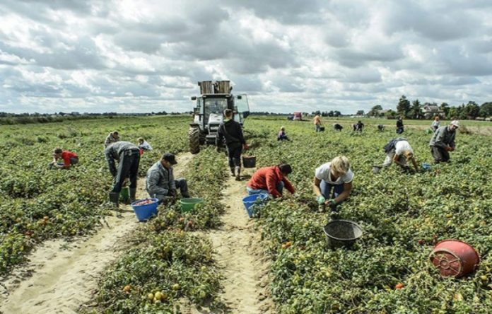 cura-italia-braccianti-agricoli