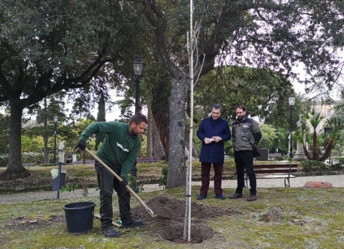 giornata-catanzaro-clima-m'illumino-di-meno-