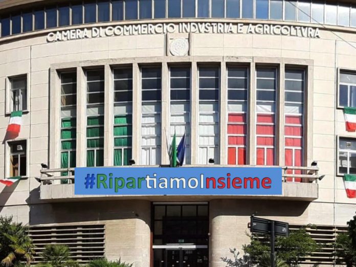 Facciata Camera Ripartiamo