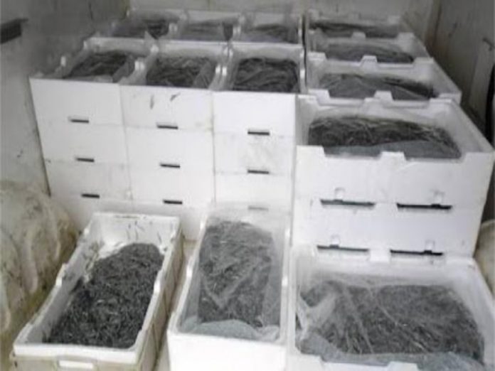 covid-19-sequestro-novellame