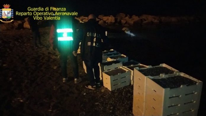 sequestro bianchetto gdf