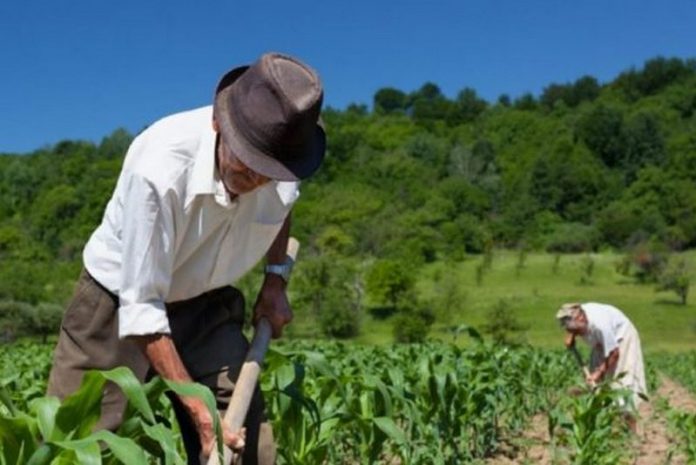 6 milioni di euro per gli agricoltori calabresi