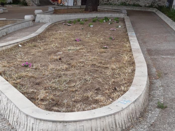 piante rubate Catanzaro