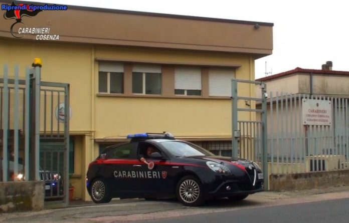 carabinieri rogliano Operazione “Brother”