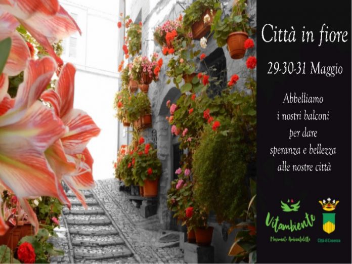 città in fiore cosenza contest fotografico