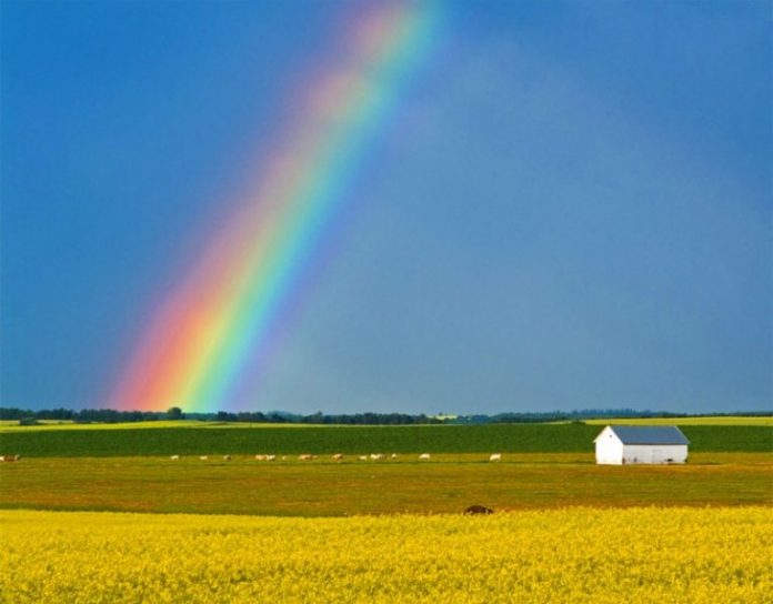 clima caldo calabria