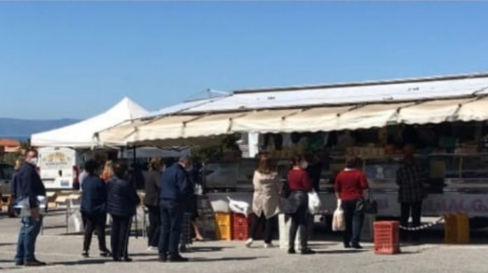 riapre mercato ortofrutticolo lamezia terme