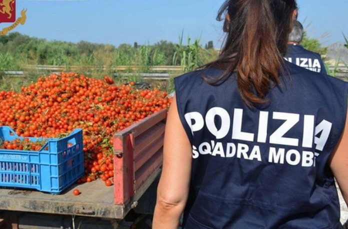 caporlato sfruttamento lavoratori
