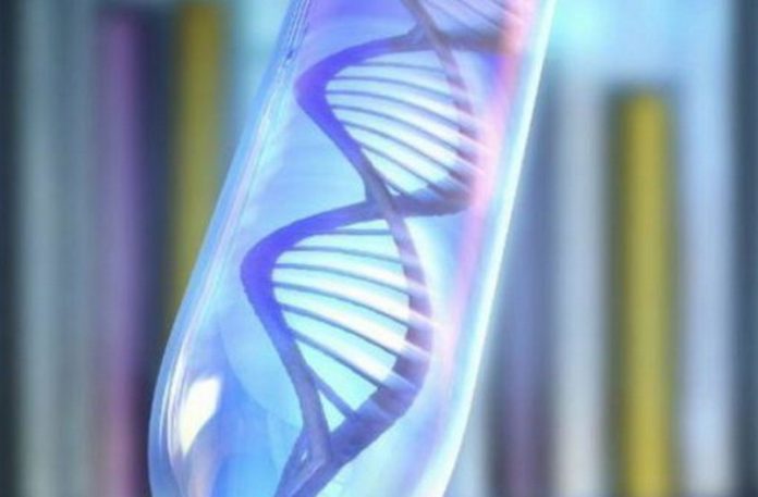 geni dna rischio covid-19 Da uno studio italiano, grazie all'intelligenza artificiale